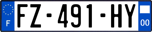 FZ-491-HY