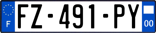 FZ-491-PY