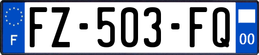 FZ-503-FQ