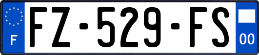 FZ-529-FS
