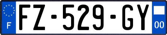 FZ-529-GY