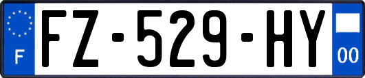 FZ-529-HY