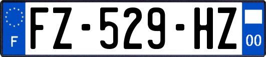 FZ-529-HZ