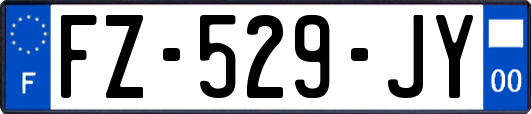 FZ-529-JY
