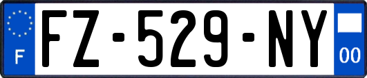FZ-529-NY