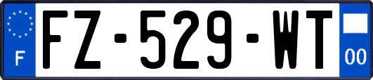 FZ-529-WT