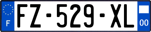 FZ-529-XL
