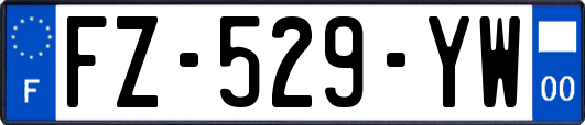 FZ-529-YW