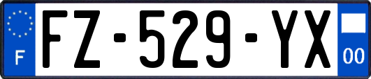 FZ-529-YX