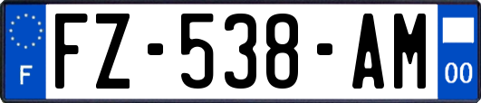 FZ-538-AM