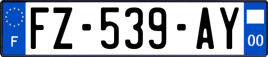 FZ-539-AY