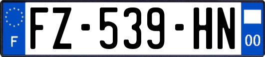 FZ-539-HN