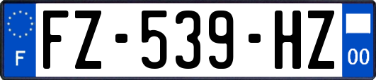 FZ-539-HZ