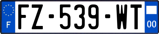 FZ-539-WT