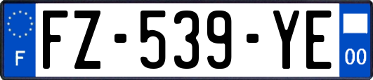 FZ-539-YE