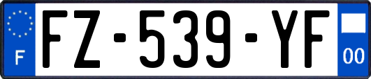 FZ-539-YF