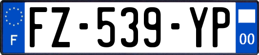 FZ-539-YP