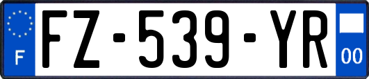 FZ-539-YR