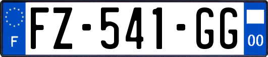 FZ-541-GG
