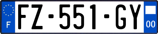 FZ-551-GY