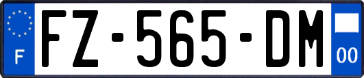 FZ-565-DM