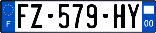 FZ-579-HY