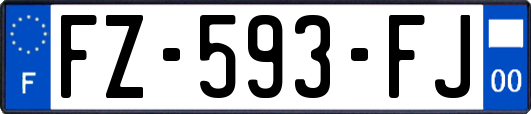 FZ-593-FJ