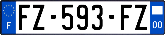 FZ-593-FZ