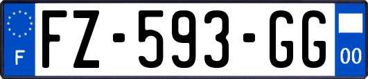 FZ-593-GG