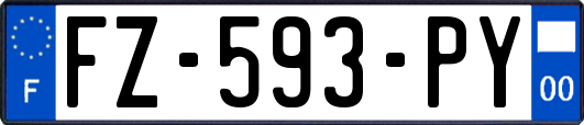 FZ-593-PY