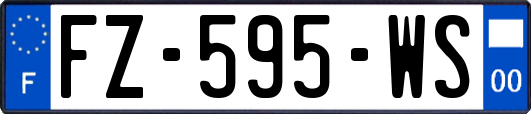 FZ-595-WS