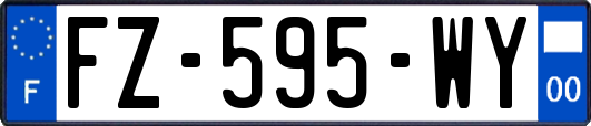 FZ-595-WY