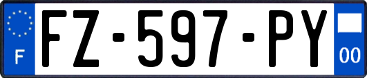 FZ-597-PY