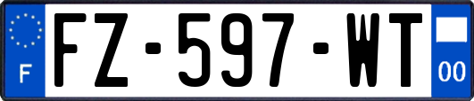 FZ-597-WT