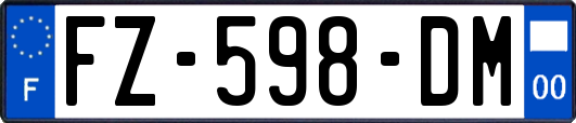 FZ-598-DM