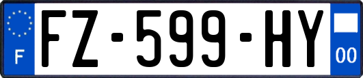 FZ-599-HY