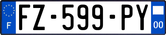 FZ-599-PY