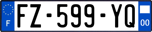 FZ-599-YQ