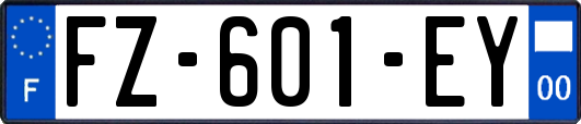 FZ-601-EY
