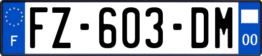 FZ-603-DM