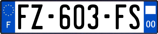 FZ-603-FS