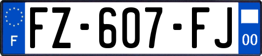 FZ-607-FJ