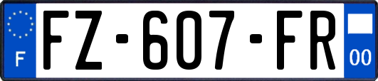 FZ-607-FR