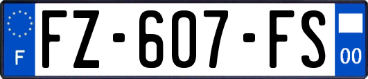 FZ-607-FS