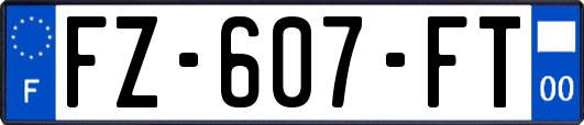 FZ-607-FT