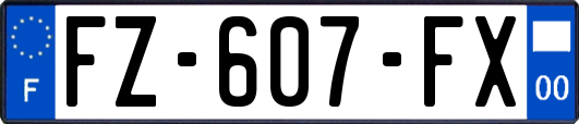 FZ-607-FX