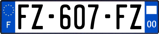 FZ-607-FZ