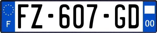 FZ-607-GD