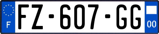 FZ-607-GG