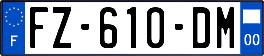 FZ-610-DM